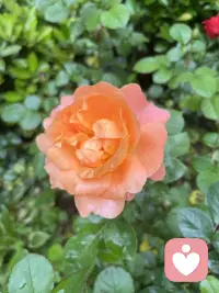 给生活自然流畅的力量～