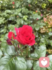 给生活自然流畅的力量～