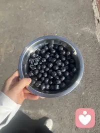 勇气是人类的赞歌配图