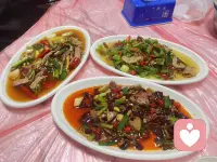 勇气是人类的赞歌配图