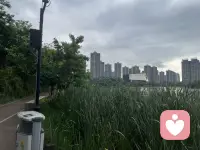 勇气是人类的赞歌配图
