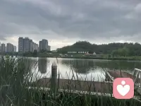 勇气是人类的赞歌配图