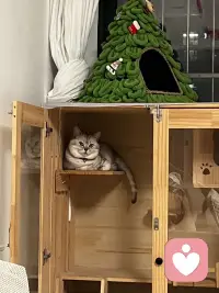 心有山海，静而无边。