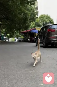 🙏🙏🙏
心态：慢慢走，不计较。
人际关系：不理会让你情绪波动的人。
人生态度：来世上只是体验一趟。
实践：不解释，不表明立场。（别纠结他人想法）
结论：人不会轻易垮掉。
顺其自然：保持中立和稳固。