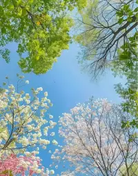 簡單來說，抱有共鳴的提問無外乎以下幾點：

1）全盤接收對方的話語。
2）不做篩選，不加評判。
3）即便是自身不感興趣、覺得無聊的話題，依然有興趣聽下去。
4）盡量站在對方的立場去問。配圖