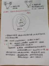 三圈系統(tǒng)：（萬事萬物都有它運行的規(guī)則，尊重規(guī)則才能夠走的長遠）
 三個圈需要有不同的態(tài)度，按照三種不同的態(tài)度去對人處事會大大減少煩惱和糾結(jié)。

對所有人事物都應該尊重。

事物：為我所用，我可以成為他們的主人，可以操控，可以擁有。
人：分為兩種。第一種是一般人沒有血緣關系，必須尊重界限，不可以操控，不能擁有。這個圈兒的關系可以重建，也可以切割終止。第二是有血緣關系的人除了尊重界限，必須完全接受因生命傳承而產(chǎn)生的絕對關系，對此有任何抗拒會讓人無力，因此這份關系無力改變，只能接受。
夫妻雙方來自不同系統(tǒng)，根據(jù)三圈兒系統(tǒng)的概念，夫妻應屬于第二圈兒，人的系統(tǒng)既可以結(jié)合也可以分開。雖然沒有直接血緣關系，但是因為是孩子的父親，母親都跟孩子有血緣關系，也屬于同一個血緣系統(tǒng)。

所以在處理夫妻雙方關系的時候，既要去接納同時也必須尊重界限。丈夫同時是父親，妻子同時是母親，共同撫育孩子，那婚姻關系完整，親子關系完整，父親只是父親，不是丈夫的時候，母親只是母親，不是妻子的時候，仍然親子關系完整，所以理論上父母分開是不影響父子關系以及母子關系的。配圖