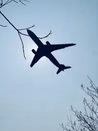 什么是喜歡?
是常掛在嘴邊
是大大方方的炫耀和占有
是想到你就會抑制不住的雀躍和快樂
是想你此時(shí)此刻是不是像我想你一樣想我
是唯物主義者開始幻想起下輩子不離不棄

也許我們會吵架，但我們?nèi)匀幌鄲?我們會低下頭道歉求和，
這決不是卑微討好，是心底里害怕失去
是一次又一次的磨合與寬容配圖