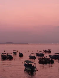 《暮色將近》配圖