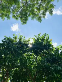 心理學家阿德勒曾說：
“人類的一切煩惱，都源于人際關系。”
人生在世，我們總是不可避免地穿梭于世故人情，奔波于人際交往。有時，我們因不好的關系而滋生煩惱！有時，我們在舒服的關系中獲得喜悅！慢慢地，我們會發現：原來每一段舒服的關系，都符合“二八定律”即: 八分付出，兩分留白 , 只有在付出的同時，收獲對方的體貼，婚姻才能達到動態平衡，越來越好。配圖
