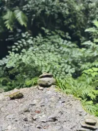 人生如旅，這漫長的征途，不應是為了迎合他人的期待，而是要聽從內心的呼喚。人這一輩子，要為自己而活，像飛鳥沖向自由的藍天，像魚兒游向遼闊的海洋，去追尋那獨屬于自己的璀璨星光。配圖