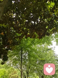 来到大自然，疗愈一下我的心灵和疲惫的身体。