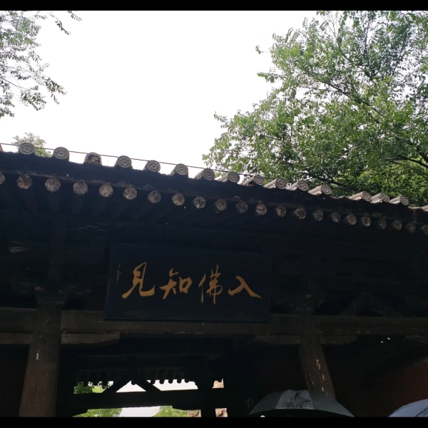 简灵