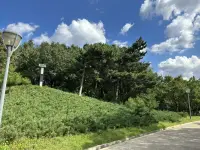 婚姻之所以让很多人困惑，是因为我们都误以为婚姻是爱的联合。
但实际上婚姻是现实生活编制的网，遵循现实原则。
而爱情遵循理想原则。
于是，理想与现实激烈碰撞。
所以我们需要解构婚姻，从而走出迷茫和困惑。