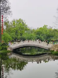書中有丘壑，方能見山水。配圖