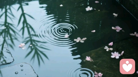 珍惜当下，拥抱生活