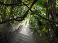 去廈門園林植物園完，拍了一組氛圍感照片，嘻嘻嘻配圖