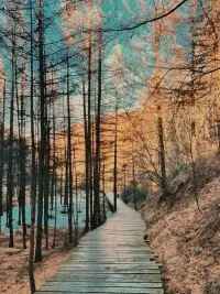 “人只有徹底了解自己，才能有能力面對(duì)困境，培養(yǎng)自信。唯有自信，才能克服自卑。”配圖