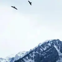 憤怒、惱怒，生氣或怨恨之類情緒。
是源于別人對自己不公平，好心沒給好報，好意當成驢肝肺，或是好心卻被利用了。

這是在尋求得到——
被尊重、被看見、被認同、被傾聽。配圖