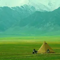焦慮、擔憂、恐懼、恐慌或緊張這類情緒。
是源于感覺自己身處險境，危險隨時會發生。
這是內心在尋求——
安全感、確定性、渴望被關注。配圖