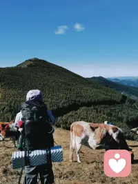 隨著時(shí)間的推移，我們會(huì)不斷修正和更新我們的記憶。配圖