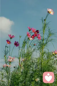 镜子很脏的时候，我们并不会误认为是，自己的脸很脏。
那么为什么，别人随口说出，糟糕的话时，我们要觉得糟糕的是自己呢？配图