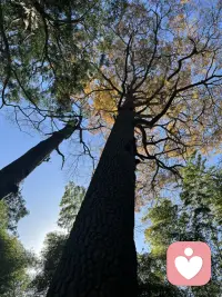 没有人能让你不快乐，是你选择了让自己不快乐配图