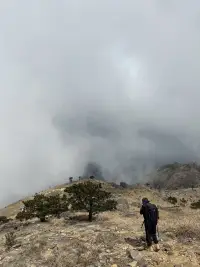 一個人越是想回避某些念頭，這些念頭就越容易突然侵入腦海