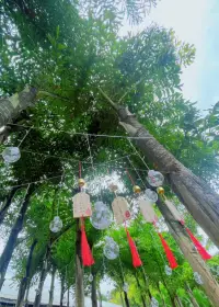 如果你幸福了，看的人也会变得幸福。配图