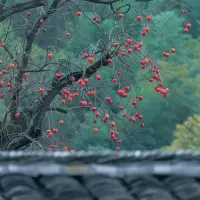 美好的一天配圖