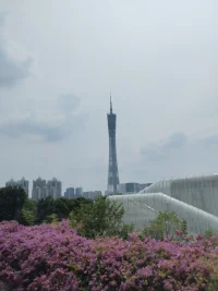 沒有平日的失敗，就沒有最終的成功。
重要的是分析失敗原因并吸取教訓(xùn)。
都會過去的，加油配圖