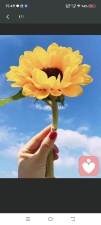 一个人对自己的态度，决定了这个人的命运，，，配图