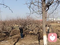 人太贪心会失去已经得到的💔[玫瑰]
适当的欲望可以，太多会得不偿失，，，配图