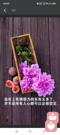 利益上对你有情，生活中才🈶情，，，