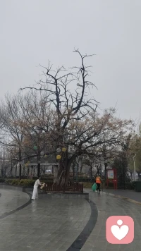 合作共赢才是各国相处之道😏配图