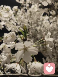 给你🖐️🖐️选择的人是爱你的＾3＾
若不爱你你都没得选，，配图