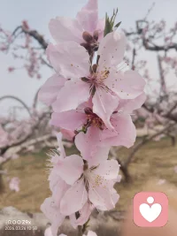 艾跃进教授阐释什么是真男人：外在条件如身高、外貌皆不重要，关键在于拥有雄心。真正的男人要对自己狠一点，勇于奋斗，流汗流血；因为男人是强者的象征，肩负着责任。男人应当意识到自己的使命——上要报效国家、孝敬父母，下要让妻子孩子过上好日子，承担起养家糊口的重任。没有这份雄心壮志，即便高富帅也只是大花瓶。有雄心者，方为真男人。配图