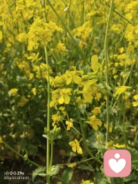 “对自己好就是在对别人好！”配图