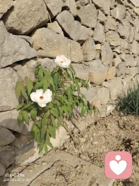 不要不说话😶对方会心乱如麻
不要🙅🏻‍♀️让自己生气╰_╯
不要🙅🏻‍♂️让别人生气😠
好好爱自己多一点🕐配图