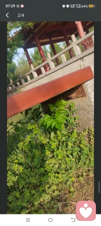 愿我拥有无量的智慧与慈悲
愿我拥有无量的财富与健康
以此利益无量的众生
不求独善其身
只求自利利他
心量一大，愿力就大
愿力一起，业力自退。
过好每一天，才是最大的财富😊配图