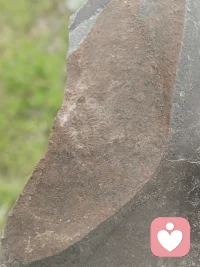 今天过得好快，理了发焗油🤣刮脸，山里吃大烩菜，买了(●v●)🛒120年的崖柏木，（垫子）一只橙色的手工小老虎🐯（心想事成）下午去挖了五亿年的化石（三叶虫）看了日落🌇还有学会了，新的栽培方式，现在喝啤酒🍺吸烟🚬，吹吹风，，配图