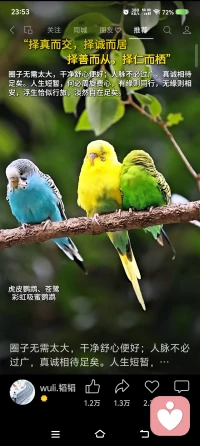 完整全诗：
三十三重天外天，九霄云外有神仙。
神仙本是凡人变，只怕凡人心不坚。
一言半句便通玄，何须丹书千万篇。
人若不为形所累，眼前便是大罗天，，配图
