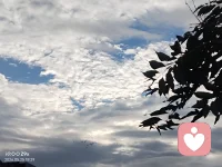 爱出者爱返，福往者福来[玫瑰]配图