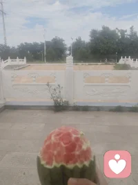 好好吃瓜，，，配图