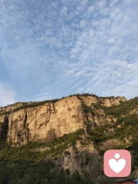 悬崖上的愛，谁会敢去采😰，，，配图