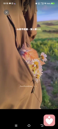 魔由心生，无心无魔，无我无心❤️配图