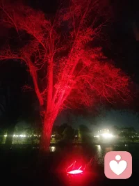 朱元璋《咏雪竹》
原文：
雪压枝头低，虽低不着泥。
一朝红日出，依旧与天齐。
 
释义
 
大雪压弯竹梢，竹身低垂却绝不沾污泥土；等到红日东升、积雪消融，翠竹昂首挺立，挺拔比肩苍天。
以竹自喻：身处困厄可以暂时低头隐忍，但本心操守绝不沉沦，时机一到便可凌云再起。配图