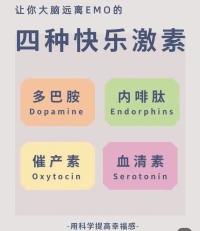 讓你的大腦遠離emo的四種快樂激素，用科學的方法提升幸福感。配圖