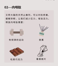 讓你的大腦遠離emo的四種快樂激素，用科學的方法提升幸福感。配圖