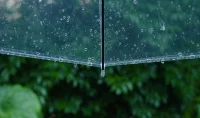 最近的雨，下的過于認真了點。配圖