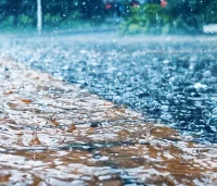 最近的雨，下的過于認真了點。配圖